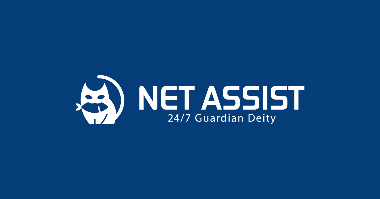 NET ASSIST