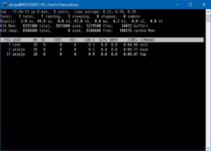 Bash on Windwos での top コマンド