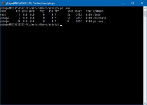 Bash on Windwos での ps コマンド