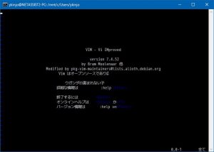 Bash on Windwos での vim コマンド